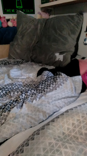 Pet Supply Store «PetSmart», reviews and photos, 1125 Quentin Rd, Lebanon, PA 17042, USA