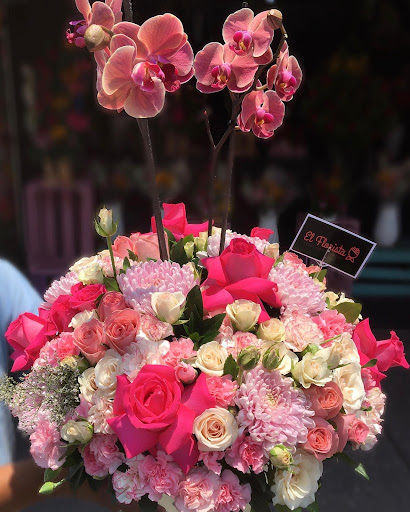 El Florista – Coacalco