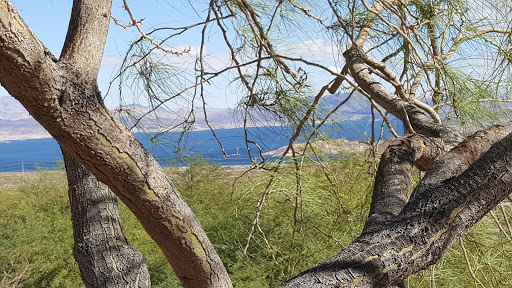 Visitor Center «Lake Mead Visitor Center», reviews and photos