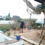 Photo n°1 de l'avis de Ibc. fait le 31/12/2017 à 16:33 sur le  O Espalha Brasas à Borba