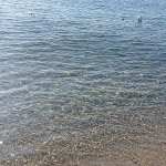 Photo n°5 de l'avis de Yako73. fait le 16/09/2020 à 08:07 sur le  Hotel Villaggio Calaghena à Montepaone Lido