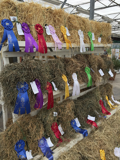 Fairground «Conservatory at the Sussex County Fairgrounds», reviews and photos, 37 Plains Rd, Augusta, NJ 07822, USA
