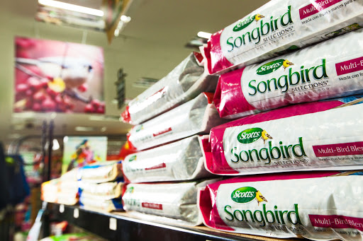 Hardware Store «Lone Star ACE», reviews and photos, 2111 Rayford Rd, Spring, TX 77386, USA