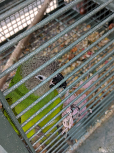 Pet Supply Store «Pet Valu», reviews and photos, 541 S Breiel Blvd, Middletown, OH 45044, USA