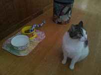 Pawsitively Purrfect Pet and Homecare Service - Photo 5 - Car repair in , San Jose