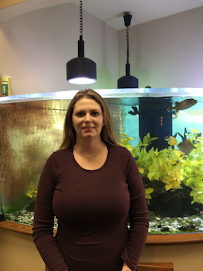 Gateway Chiropractic - Photo 8 - Car repair in Appleton, WI, Appleton