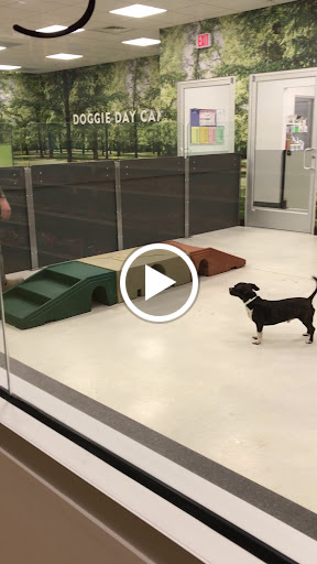 Pet Supply Store «PetSmart», reviews and photos, 1700 Willow Pass Rd, Concord, CA 94520, USA