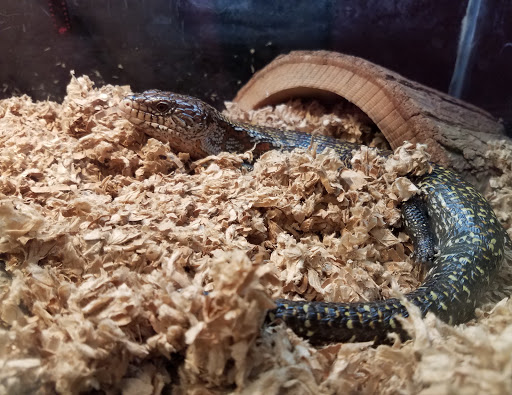 Pet Store «Pet World Warehouse Outlet», reviews and photos, 2984 S 108th St, Milwaukee, WI 53227, USA