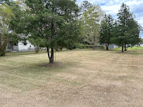 Branch to Blade Lawn and Tree Care - Photo 4 - Car repair in , Greenville