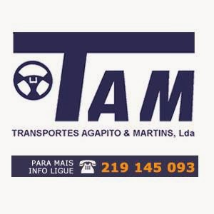 Avaliações doTransportes Agapito & Martins Lda em Queluz - Serviço de transporte