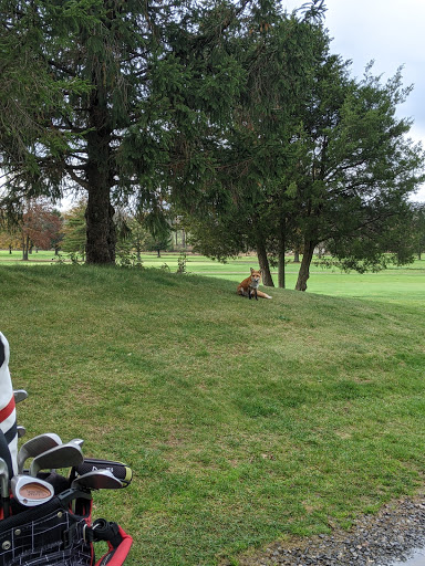 Golf Course «Gilbertsvville Golf Course», reviews and photos, 2924 Lutheran Rd, Gilbertsville, PA 19525, USA