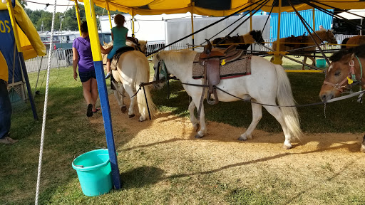 Stark County Fairgrounds image 5