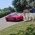 Photo n°2 de l'avis de Stefano.e fait le 15/05/2022 à 08:54 sur le  Ristorante La Caplania à San Colombano al Lambro