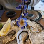 Photo n°8 de l'avis de Carla.a fait le 09/03/2024 à 08:20 sur le  Sushi Shiro à Vittorio Veneto