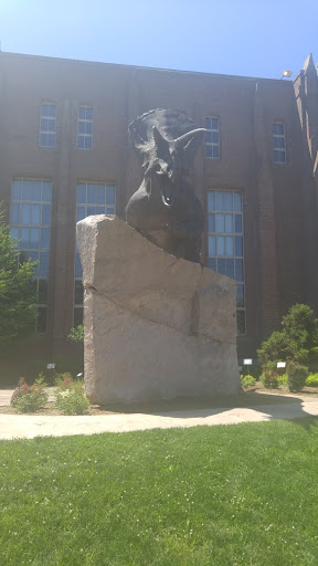 Gift Shop «Yale Peabody Museum Store», reviews and photos, 170 Whitney Ave, New Haven, CT 06511, USA