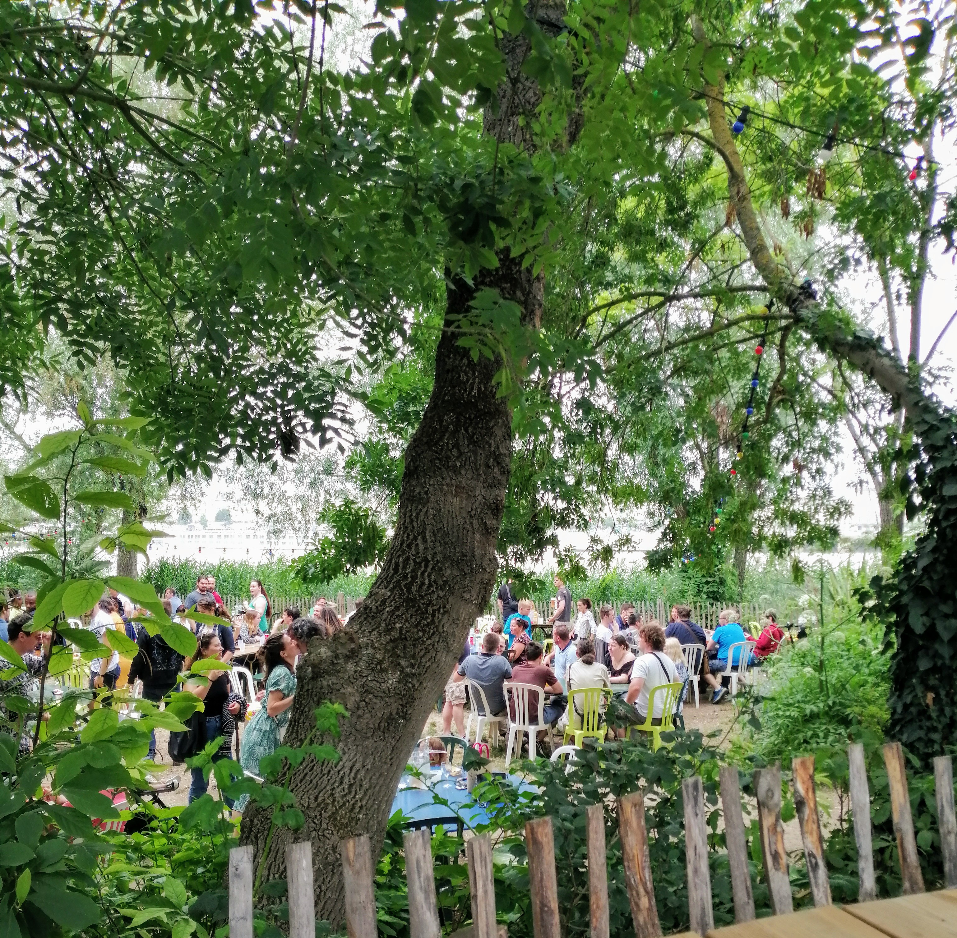 Photo n° 1 de l'avis de Rodolphe.A fait le 30/06/2019 à 17:35