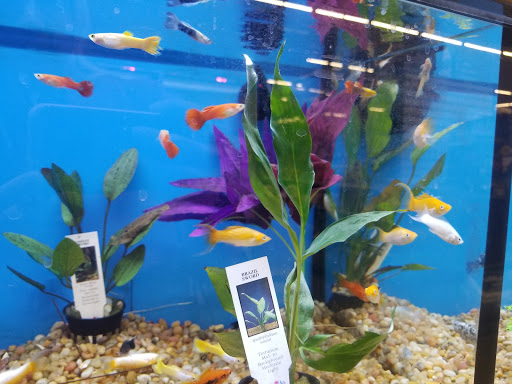 Pet Supply Store «Pet Supplies Plus», reviews and photos, 319 Massachusetts Ave, Lunenburg, MA 01462, USA