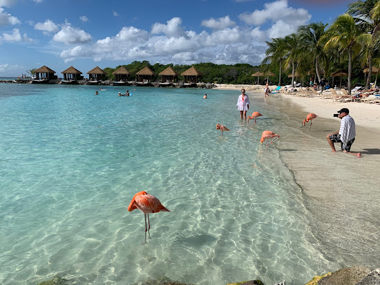 Renaissance beach