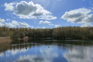 Walton Colliery Nature Park image