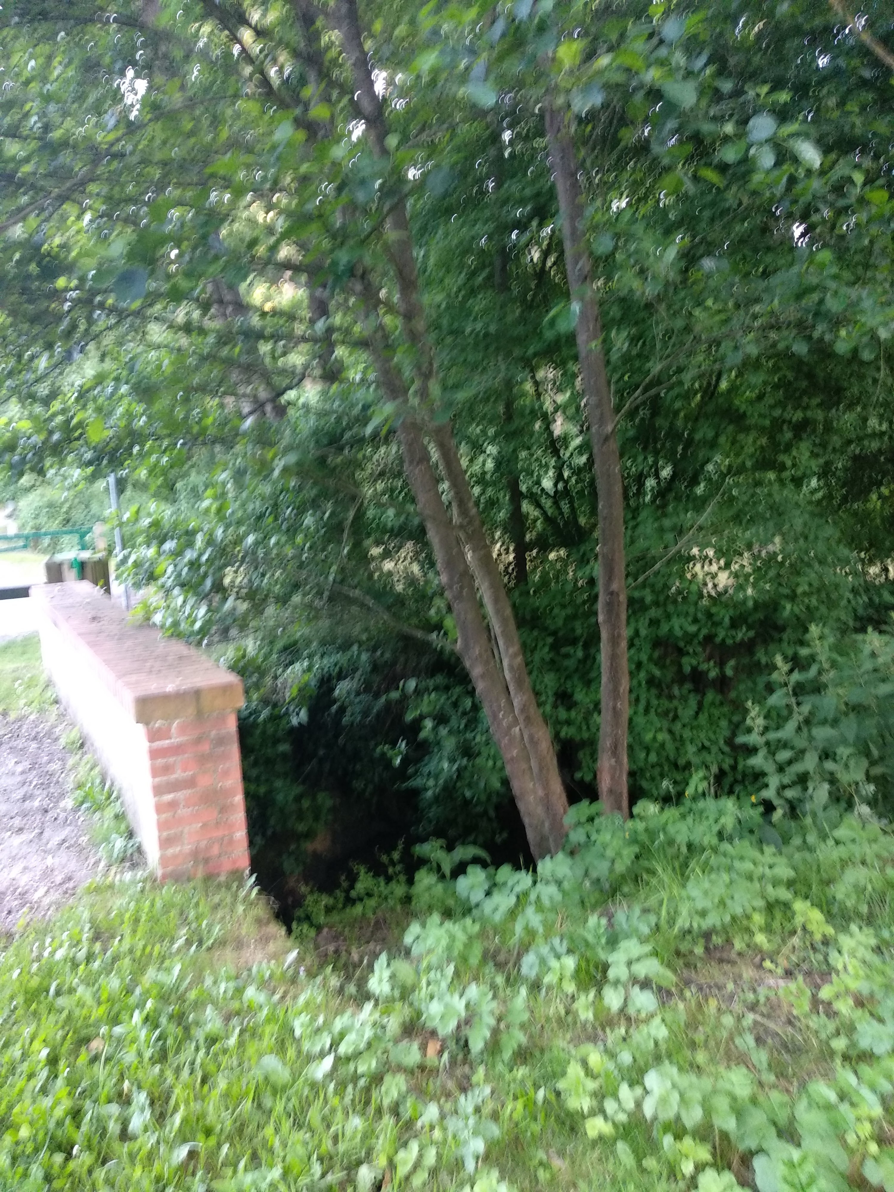 Photo n° 12 de l'avis de Taras.a fait le 17/06/2019 à 05:19