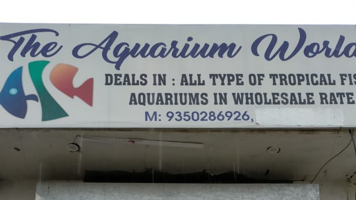 The aquarium world