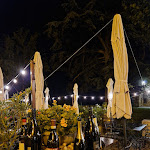 Photo n°1 de l'avis de Rachele.a fait le 10/08/2022 à 07:32 sur le  Ristorante Trattoria Serenella Le Tre Lasagne à Vignale Monferrato