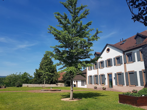 Parc du Château à Steinbourg