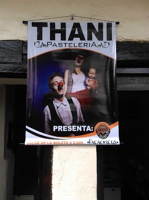 THANI - photo 1