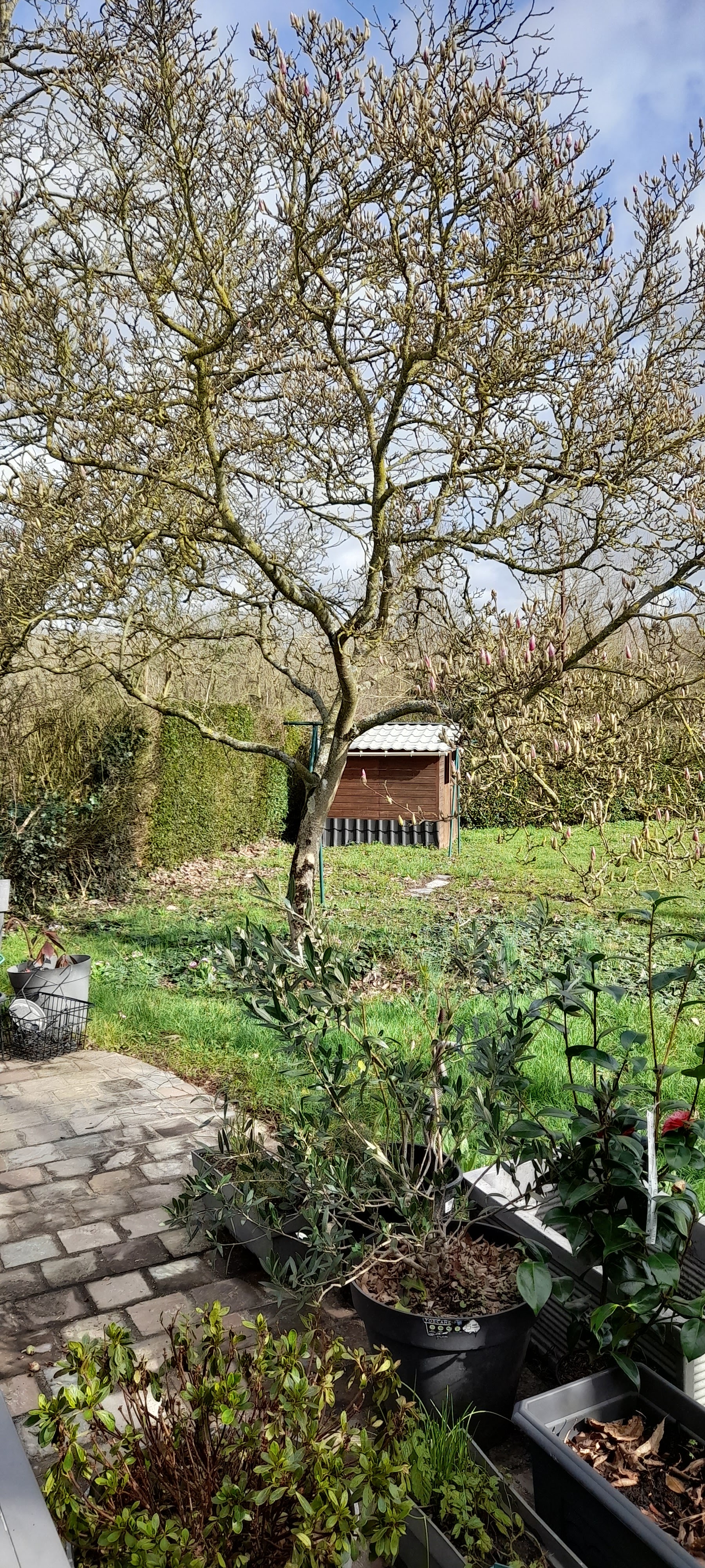 Photo n° 2 de l'avis de Ghislaine.e fait le 26/02/2024 à 20:28