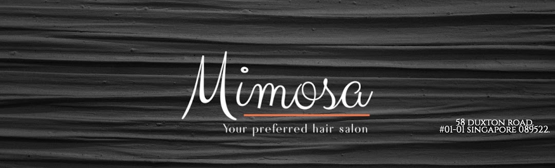 Mimosa Salon @ Duxton