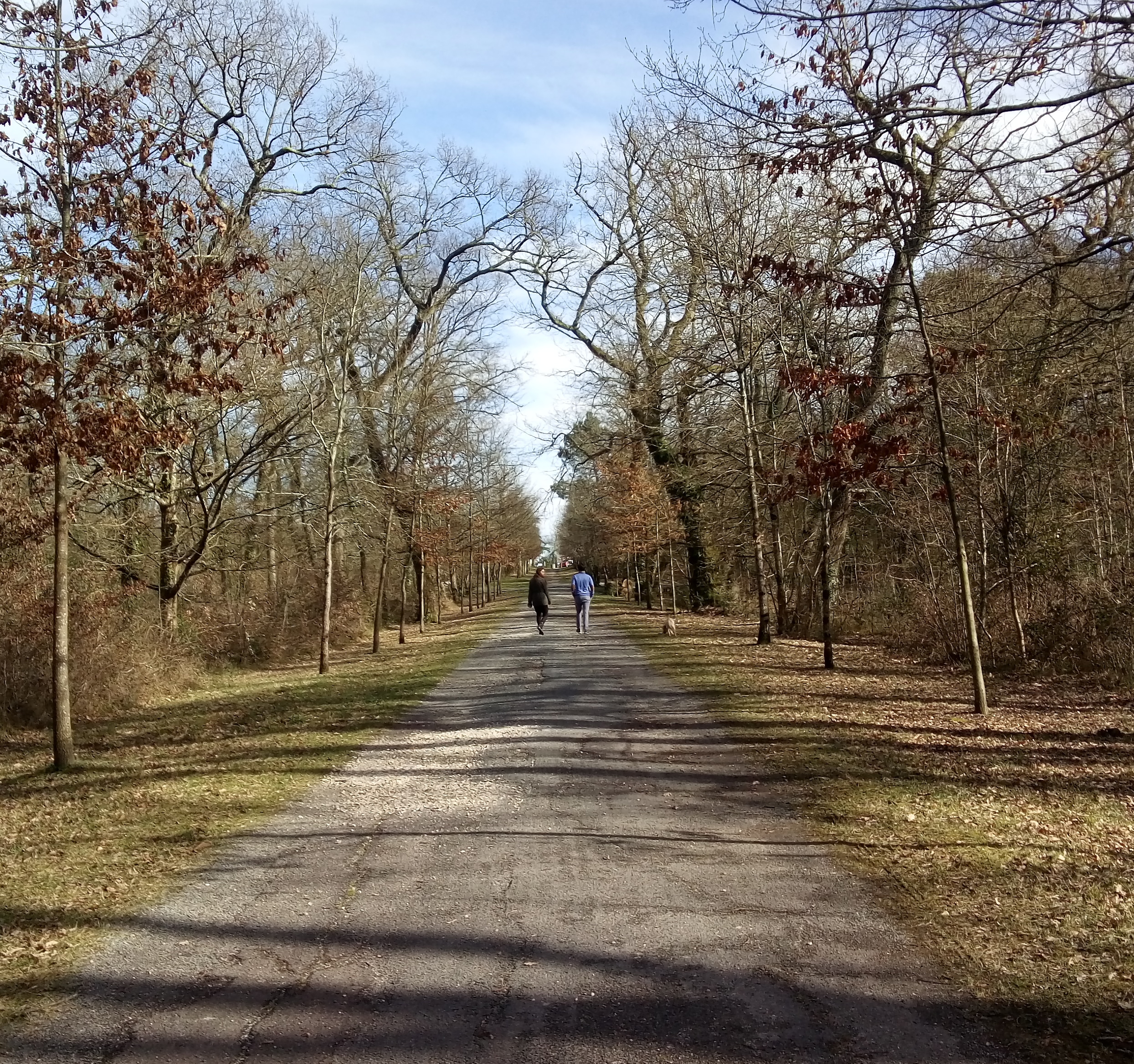 Photo n° 4 de l'avis de Thais.o fait le 03/03/2018 à 16:31