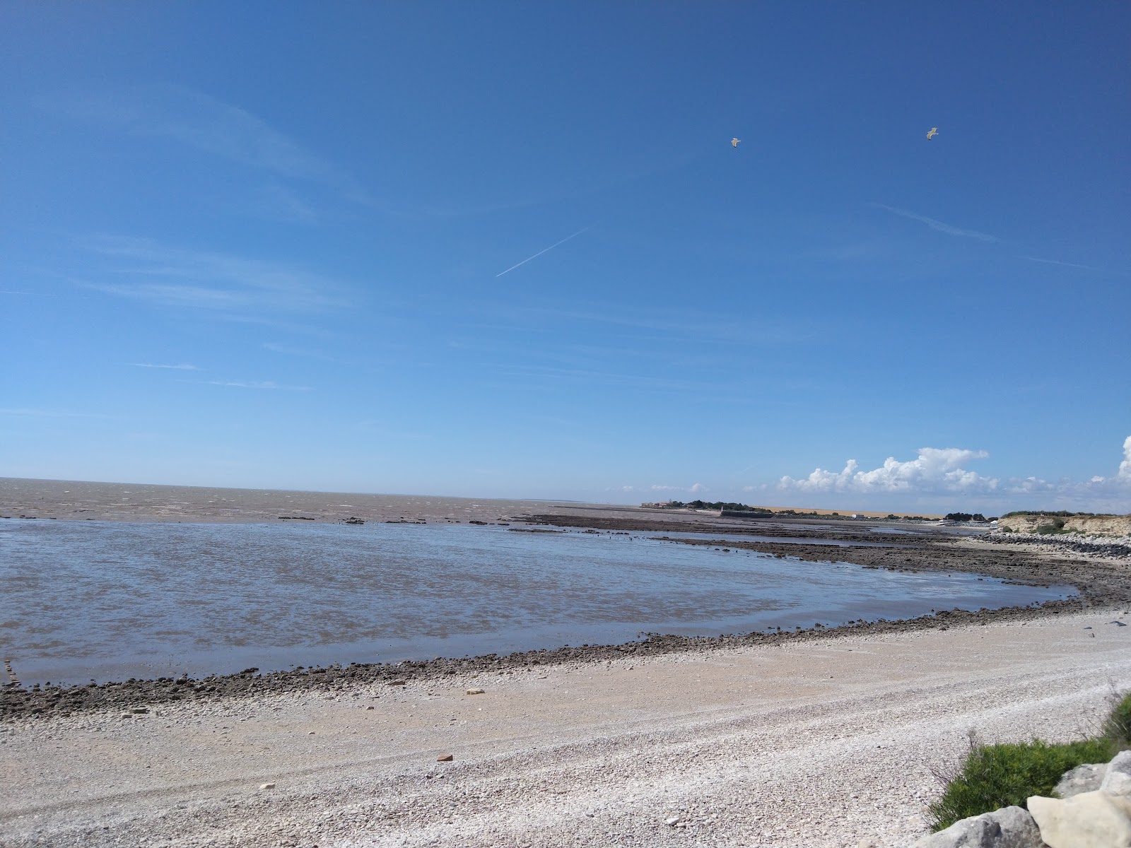 Photo de L'Anse de Pampin Beach avec un niveau de propreté de très propre
