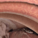 Photo n°3 de l'avis de Sylwia.o fait le 17/08/2022 à 10:23 sur le  La Conchiglia Resort & Spa à Ricadi