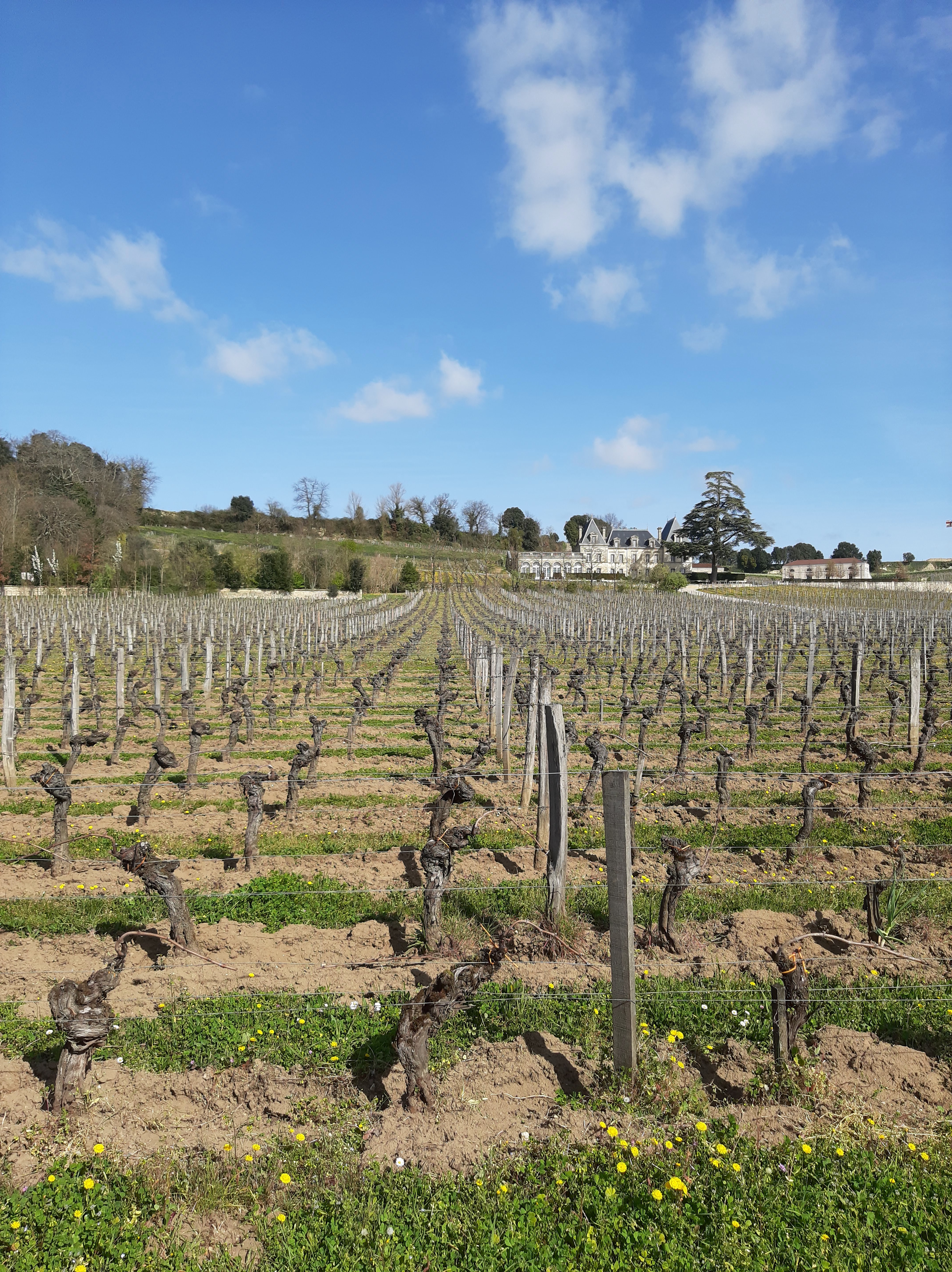 Photo n° 6 de l'avis de Lorenzo.e fait le 17/03/2021 à 15:49