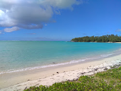 Ile aux Cerfs Beach'in fotoğrafı doğal alan içinde bulunmaktadır