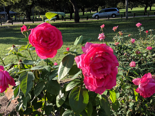 Park «Katherine Rose Memorial Park», reviews and photos, 303 N Walnut Creek Dr, Mansfield, TX 76063, USA