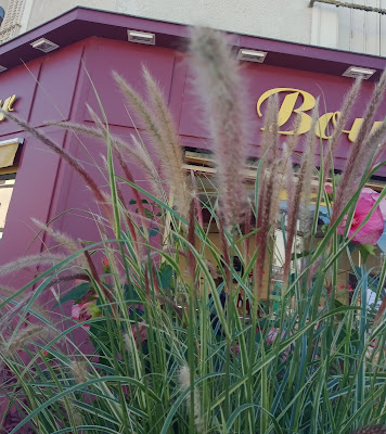 Hattier Bruno à Migennes