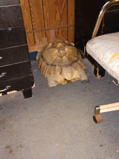 Pet Supply Store «Animal House Pets LLC», reviews and photos, 217 W 14th St, Marshfield, WI 54449, USA