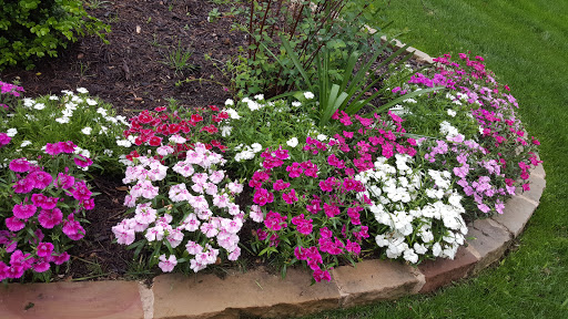 Tourist Attraction «Chestnut Square Historic Village», reviews and photos, 315 S Chestnut St, McKinney, TX 75069, USA