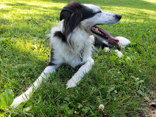 Park «Hawthorne Park», reviews and photos, 220 Division St, Madison, WI 53704, USA