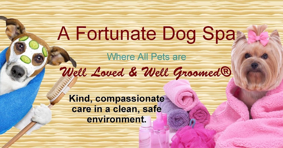 A Fortunate Dog Spa