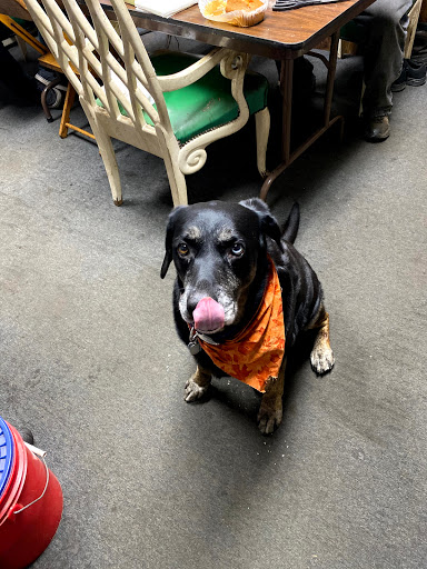 Auto Repair Shop «Ultimate Auto Service», reviews and photos, 2151 Niagara St, Buffalo, NY 14207, USA