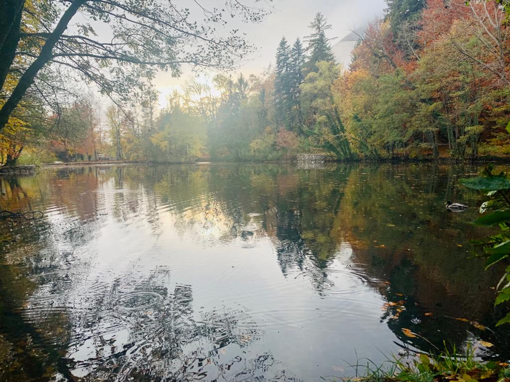 Photo n° 1 de l'avis de DESOLI.l fait le 31/10/2021 à 21:34