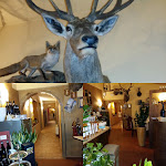 Photo n°1 de l'avis de Serena. fait le 11/09/2016 à 15:30 sur le  Ca Del Pea à Sommacampagna