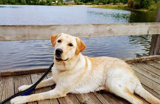 Park «NARA Park», reviews and photos, 25 Ledge Rock Way, Acton, MA 01720, USA