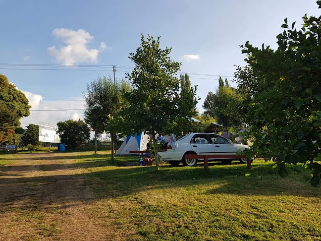 Opiniones de Camping El Mirador en Lago Ranco - Camping