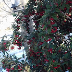 Photo n°2 de l'avis de Daniela.a fait le 06/01/2019 à 19:41 sur le  Agriturismo Piano Martorino - campeggio/ristorante/camere nel cuore del Parco Nazionale del Pollino à San Costantino Albanese