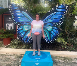 Paseo del Carmen Shopping Mall photo