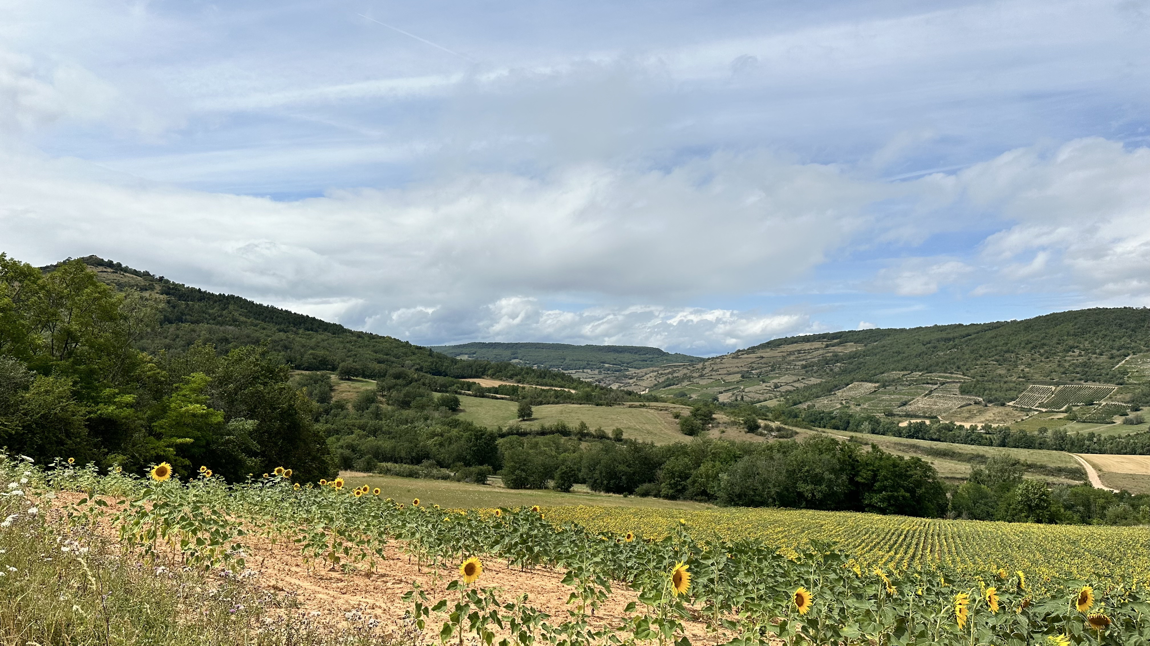 Photo n° 39 de l'avis de KAK-TO.A fait le 24/07/2023 à 16:29