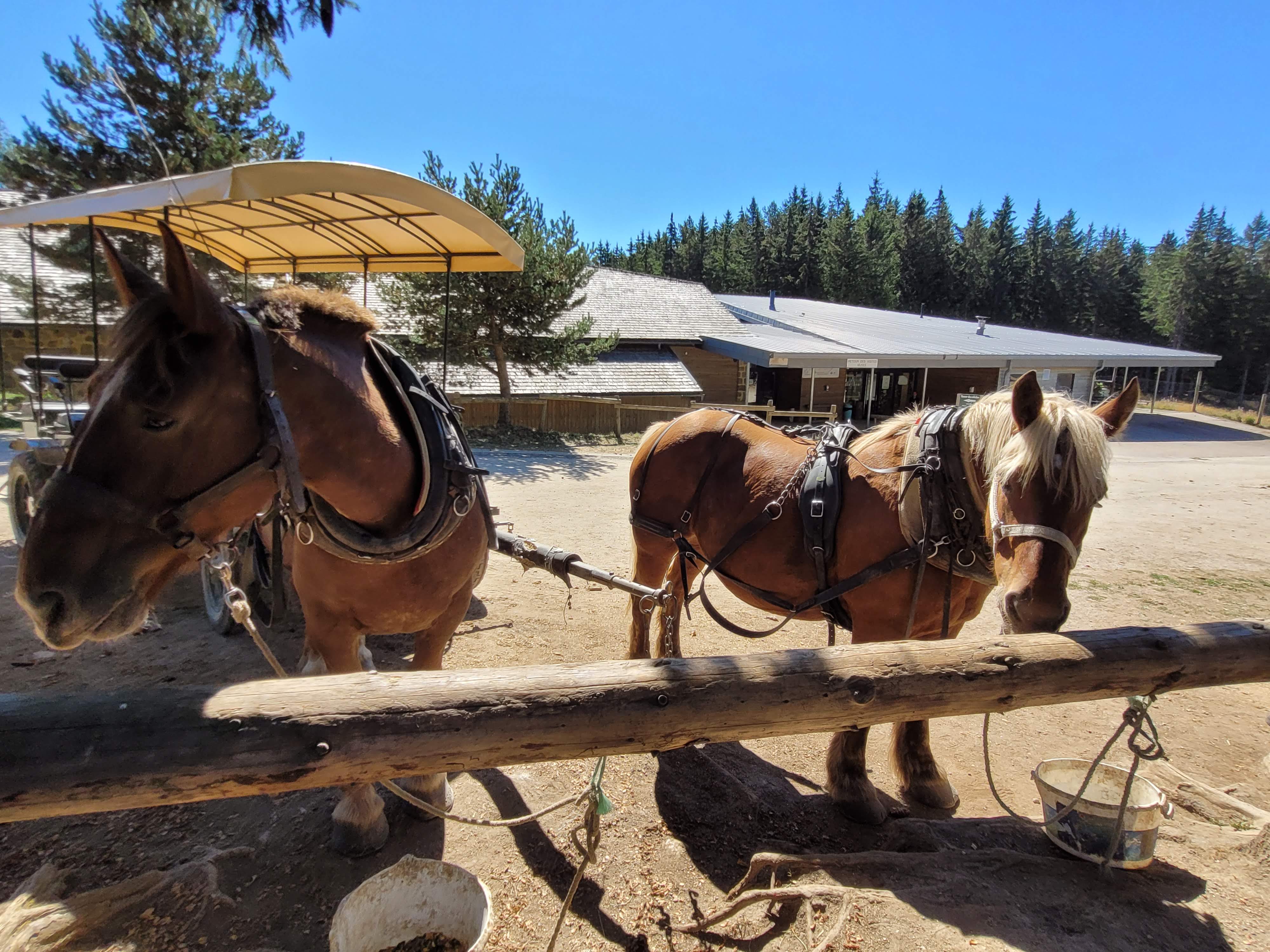 Photo n° 3 de l'avis de Cécile. fait le 12/09/2023 à 19:42